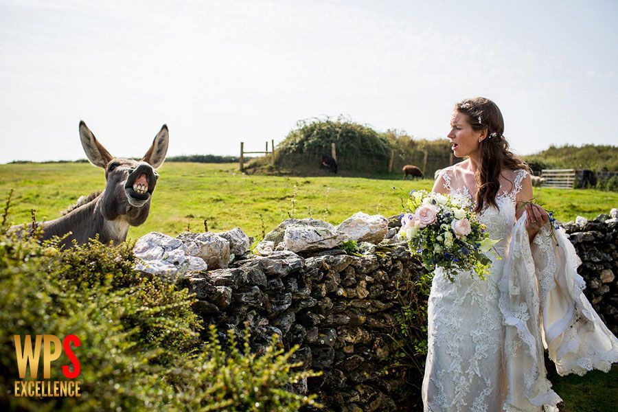 Luna Weddings Award winning wedding photography Devon